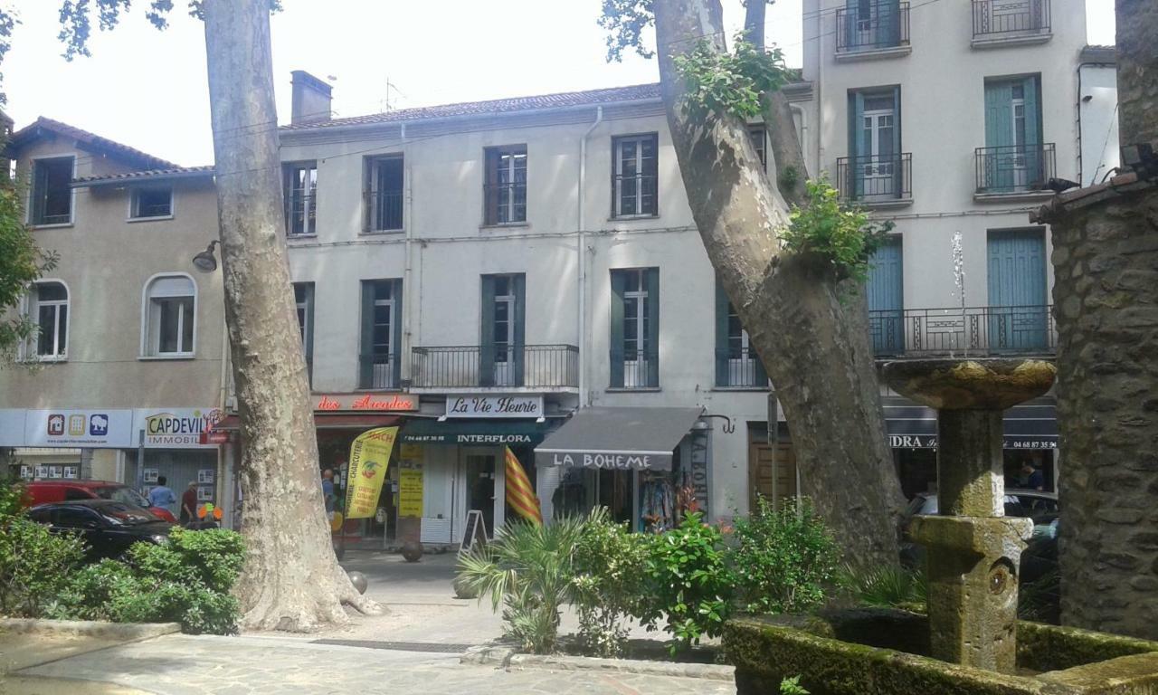 Cal Erre Apartman Céret Kültér fotó